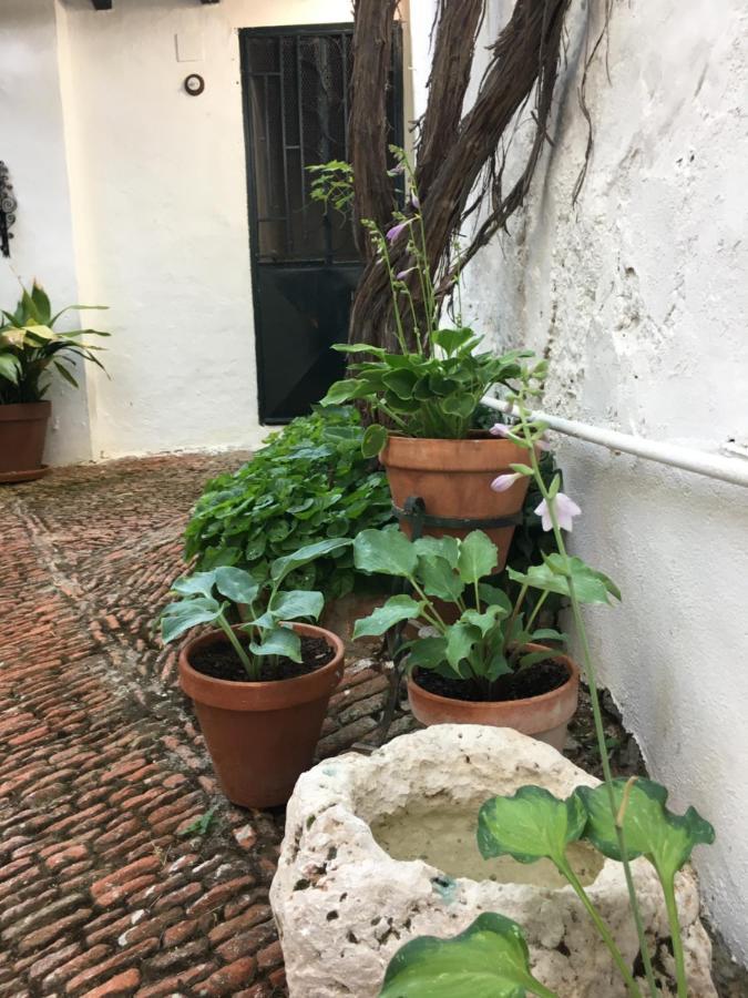Bed and Breakfast Casa San Roque Chinchón Exterior foto